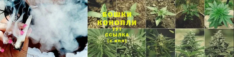 кракен вход  Болгар  Канабис White Widow  купить наркотик 